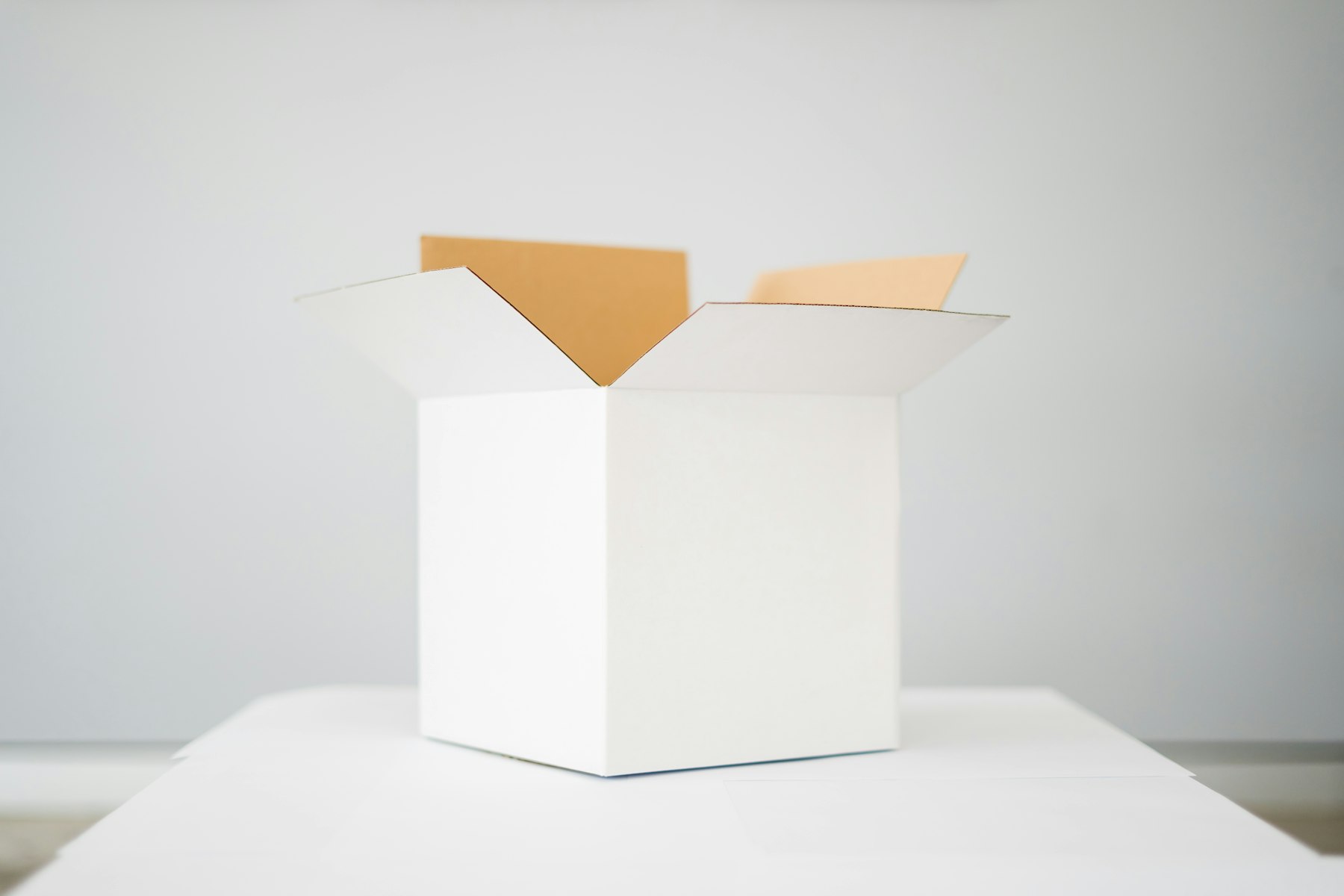 Plain white rigid presentation box